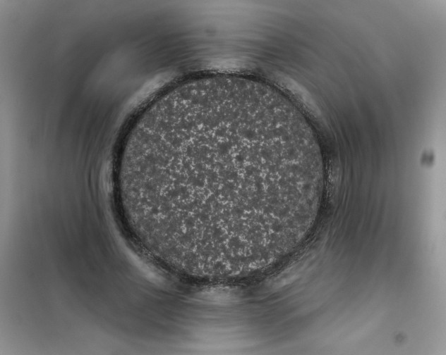 X0000101980734200808011059