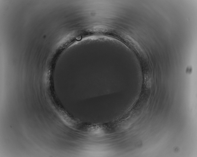 X0000101980735200808011059