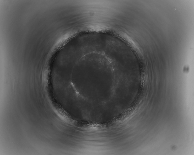 X0000101980736200808011059