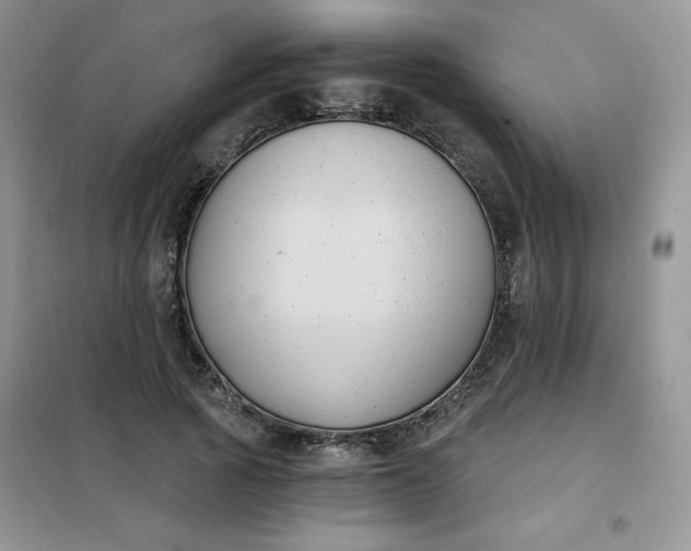 X0000101980737200808011059