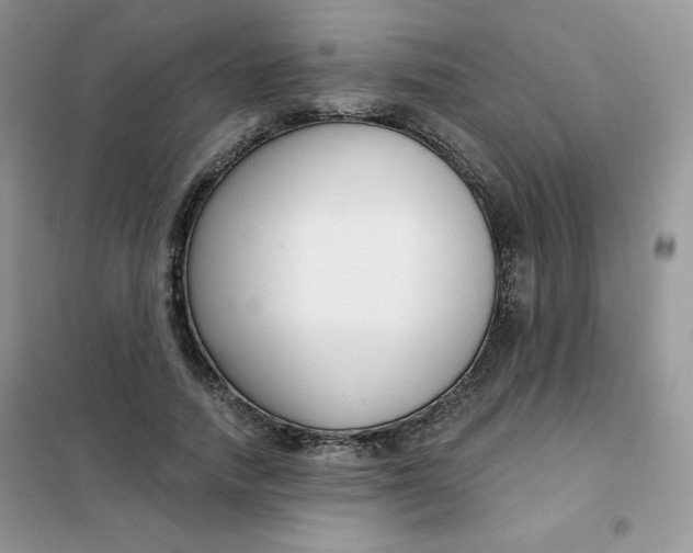 X0000101980738200808011059