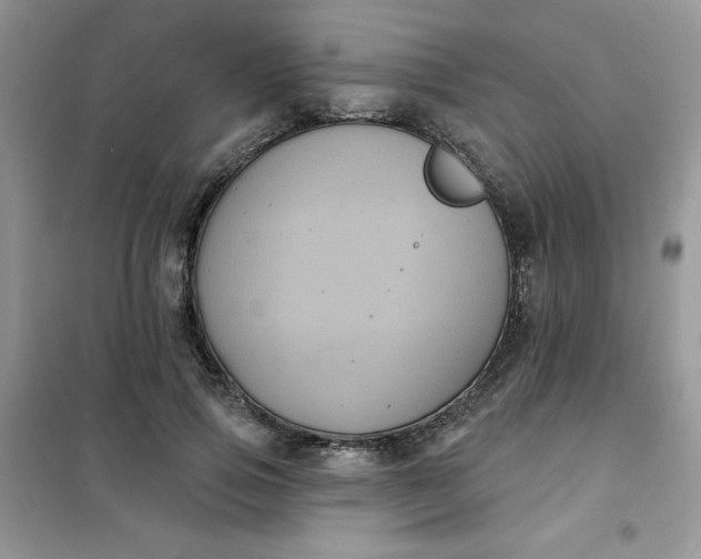 X0000101980741200808011059