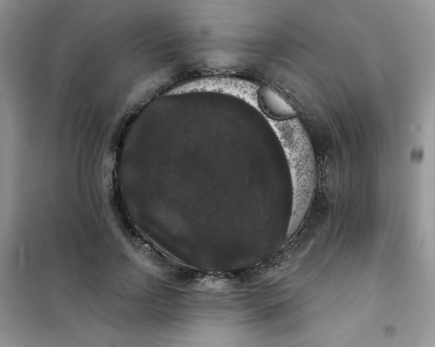 X0000101980742200808011059