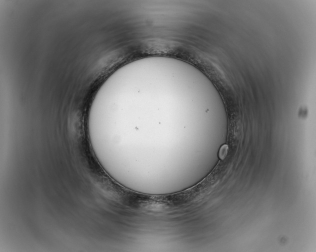 X0000101980743200808011059