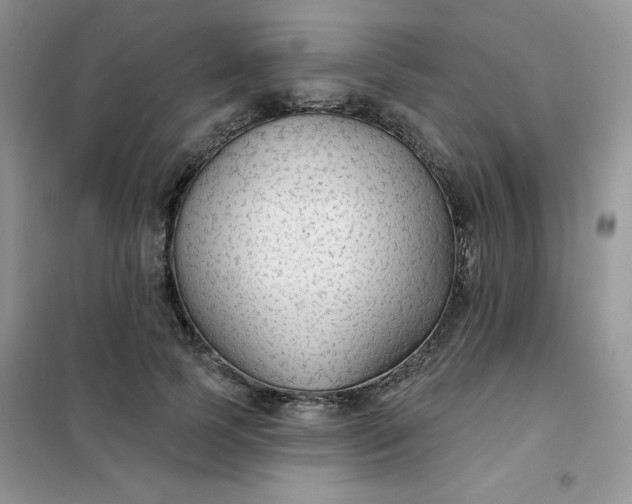 X0000101980745200808011059