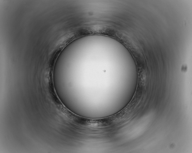 X0000101980746200808011059