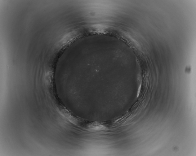 X0000101980747200808011059