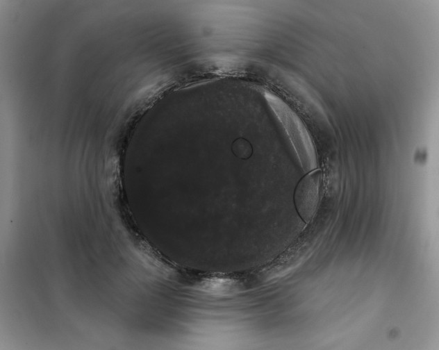 X0000101980748200808011059