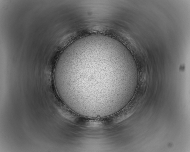 X0000101980749200808011059