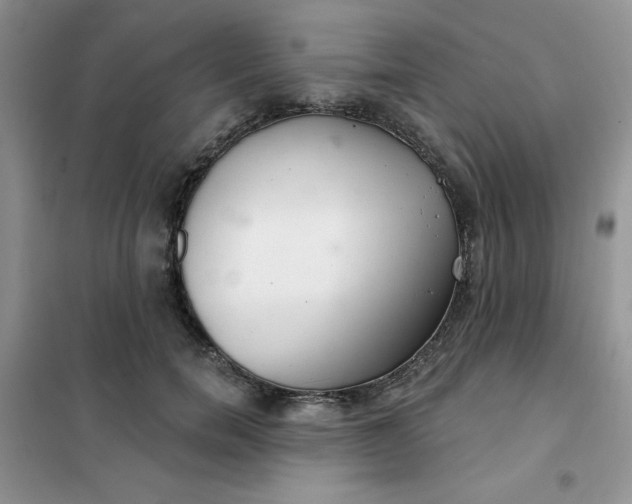 X0000101980750200808011059