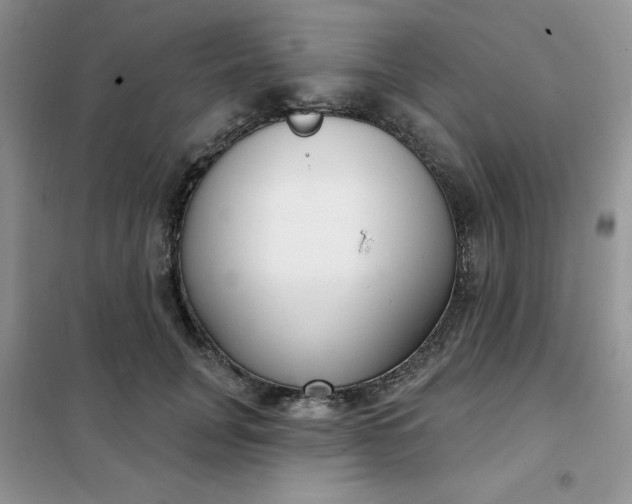 X0000101980751200808011059