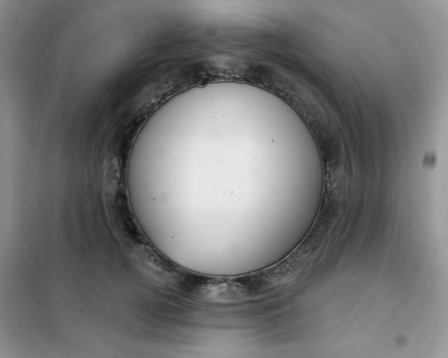 X0000101980752200808011059