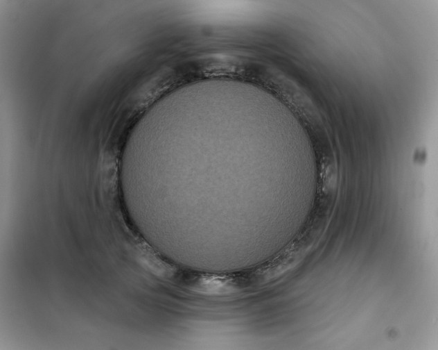 X0000101980753200808011059