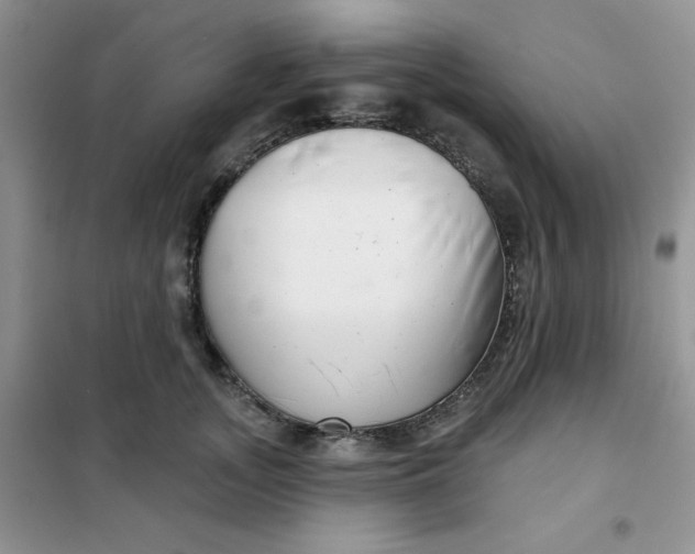 X0000101980755200808011059