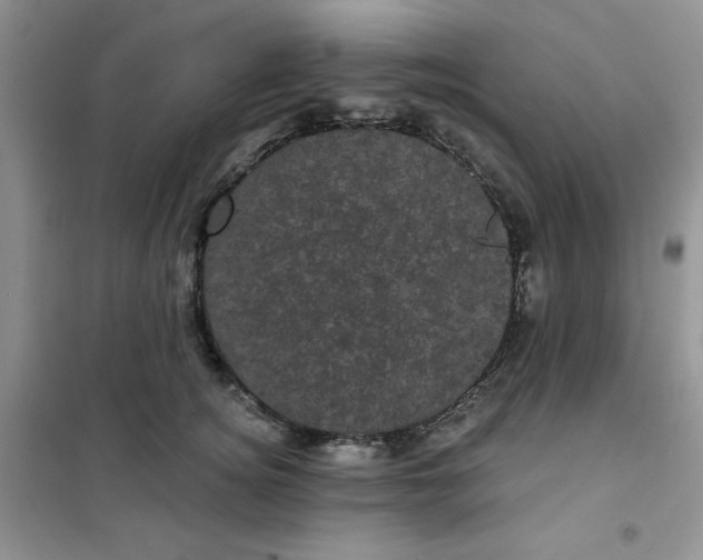 X0000101980756200808011059