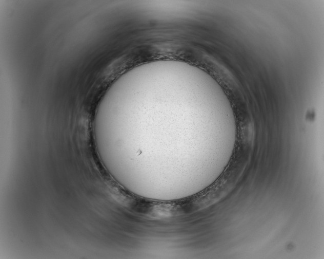 X0000101980757200808011059