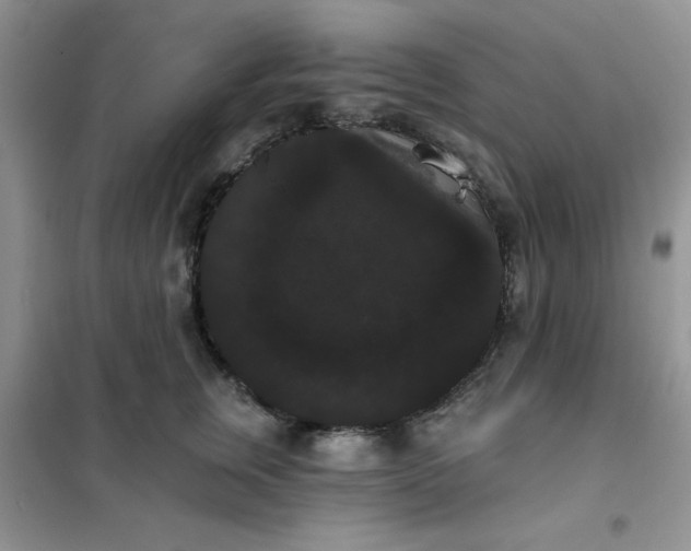 X0000101980759200808011059