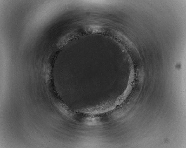 X0000101980760200808011059