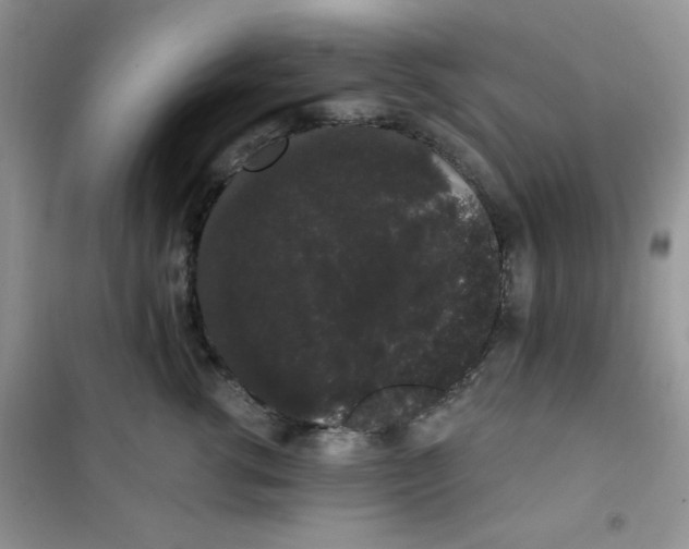 X0000101980762200808011059