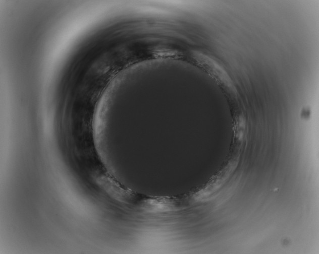 X0000101980763200808011059