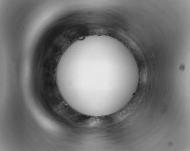 X0000101980764200808011059