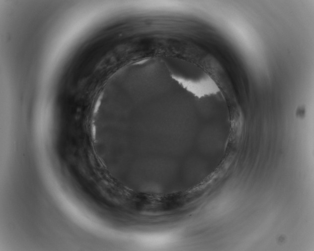 X0000101980765200808011100