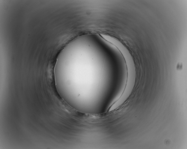 X0000101980768200808011100