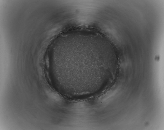 X0000101980769200808011059