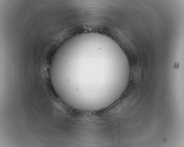 X0000101980770200808011059