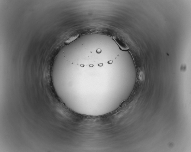 X0000101980771200808011059