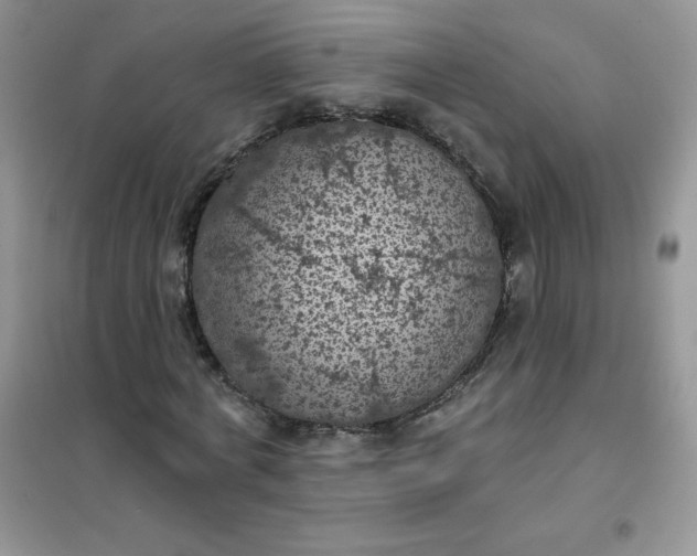 X0000101980772200808011059