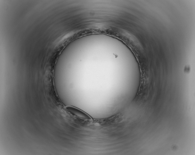 X0000101980773200808011059