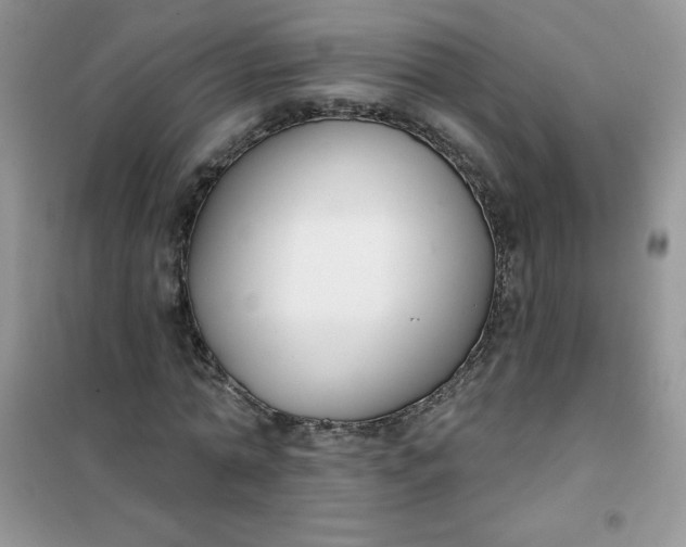 X0000101980774200808011059