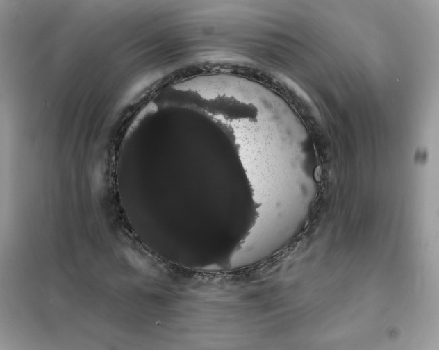 X0000101980775200808011059