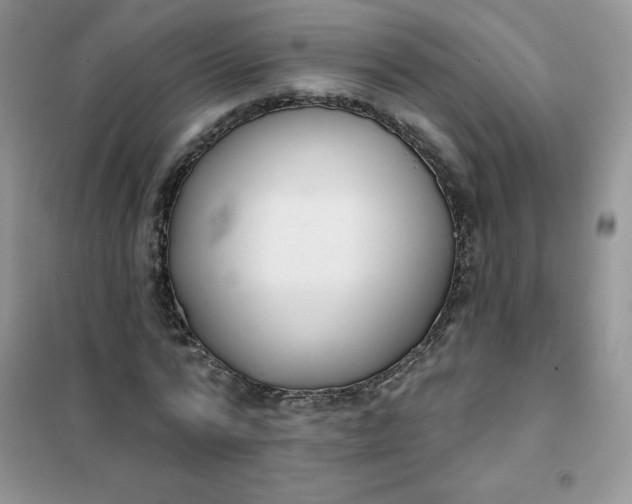 X0000101980776200808011059