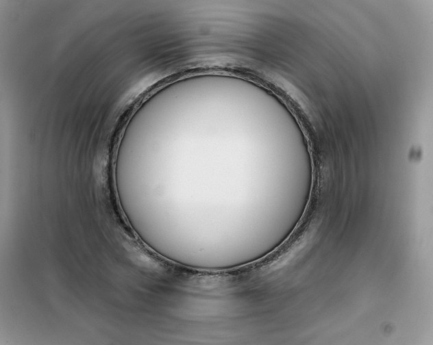 X0000101980778200808011059