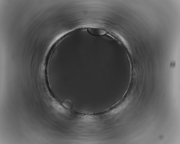 X0000101980779200808011059