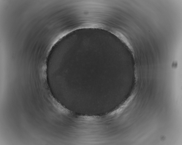 X0000101980781200808011059