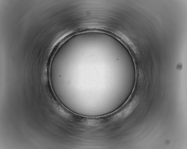 X0000101980782200808011059