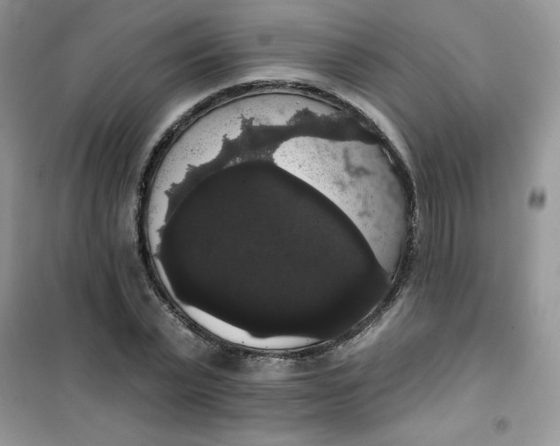 X0000101980783200808011059