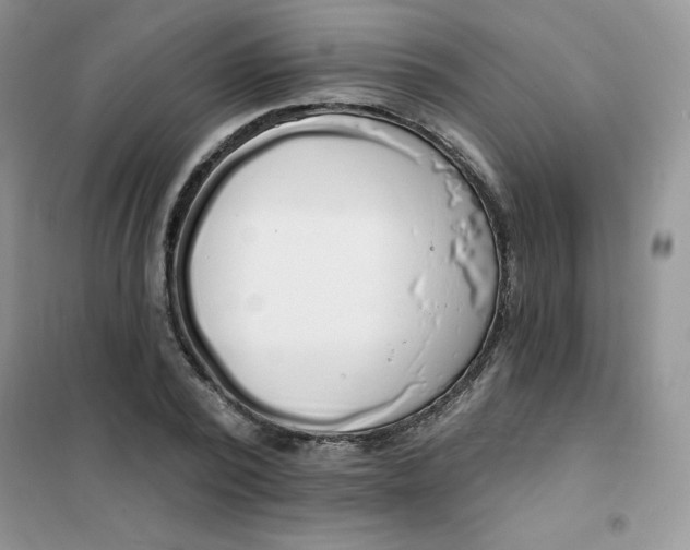 X0000101980784200808011059