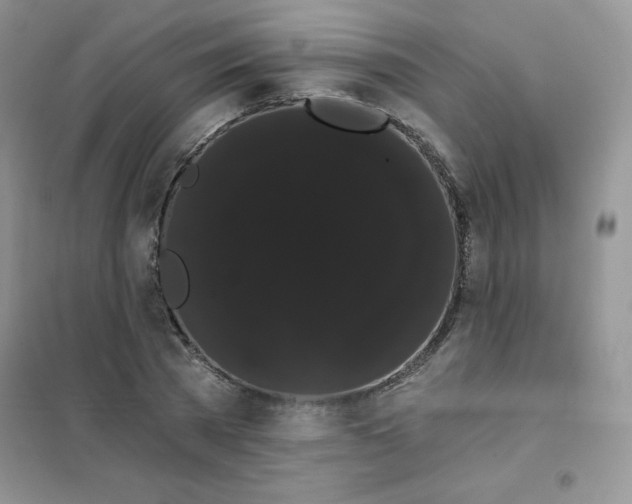 X0000101980785200808011059