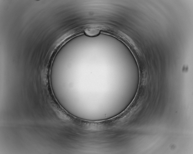 X0000101980786200808011059