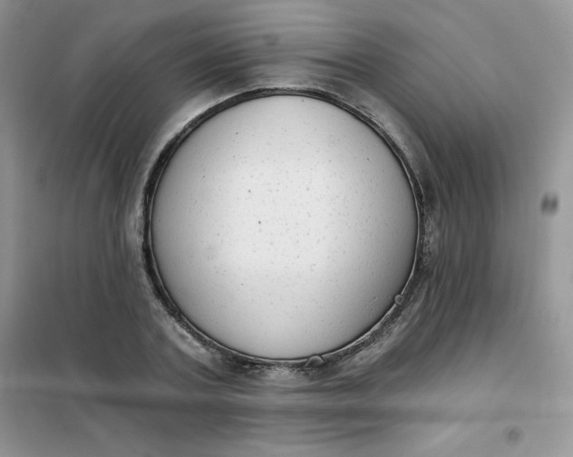 X0000101980787200808011059