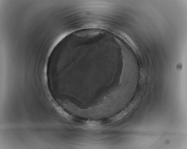 X0000101980788200808011059