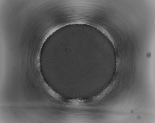 X0000101980789200808011059