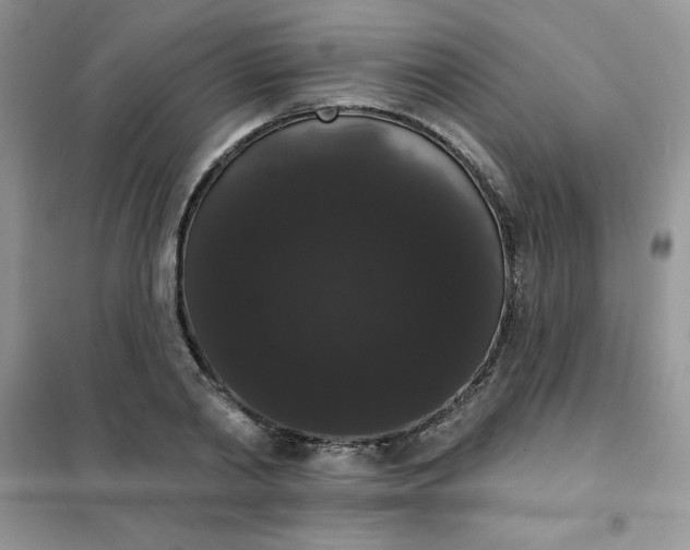 X0000101980790200808011059