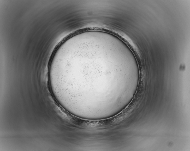 X0000101980791200808011059