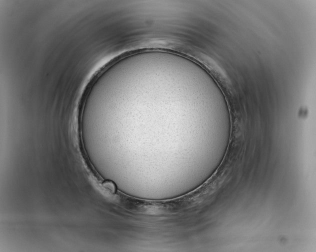 X0000101980792200808011059