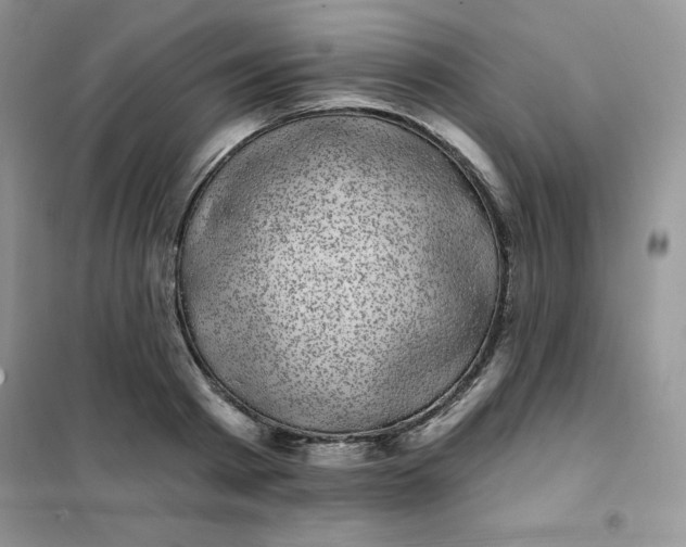 X0000101980793200808011058